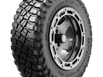 9260 muster terve